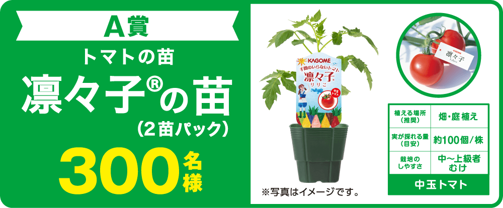 A賞